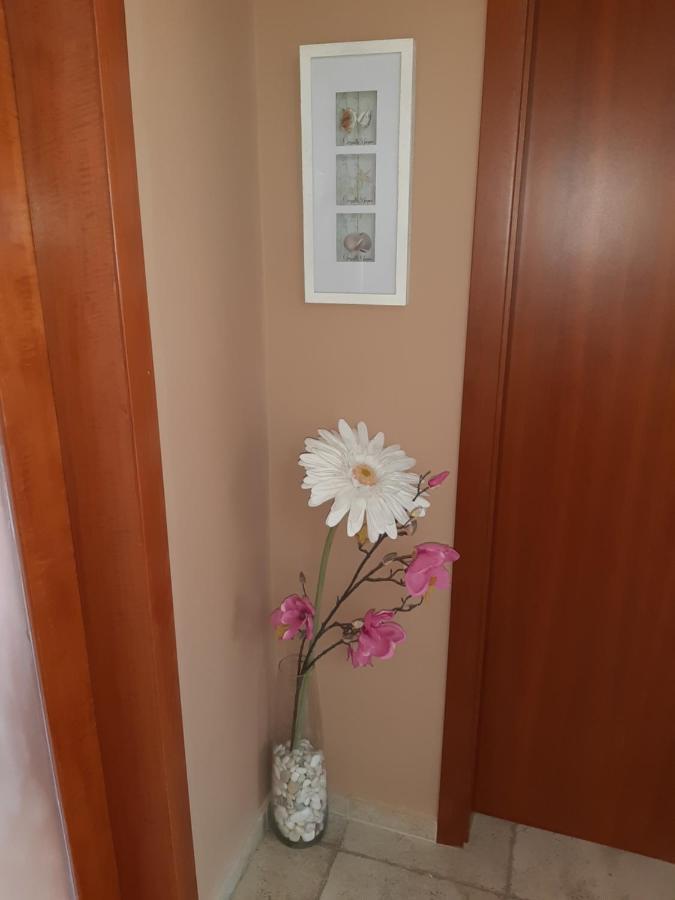 Guest Rooms Deva Burgas City Exteriér fotografie
